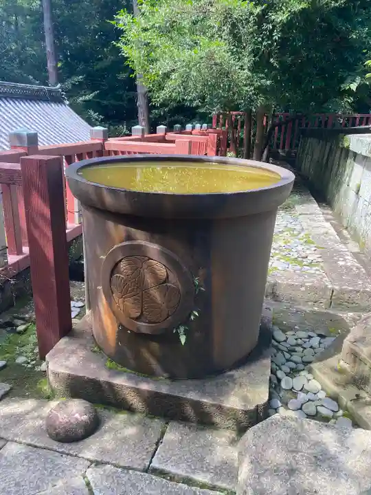 久能山東照宮(静岡県)