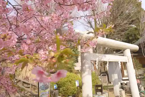 鳩森八幡神社の鳥居