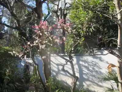 蟠龍寺(東京都)