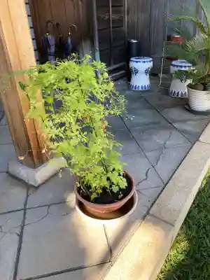 金藏院(神奈川県)