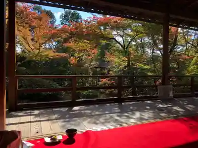 大法院(京都府)