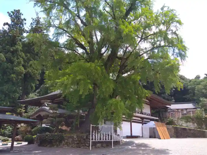 吉備津神社の本殿・本堂