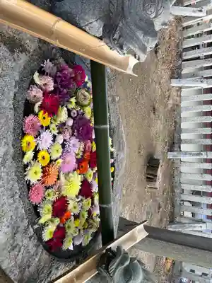春日神社(福岡県)