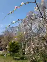 天徳寺(神奈川県)