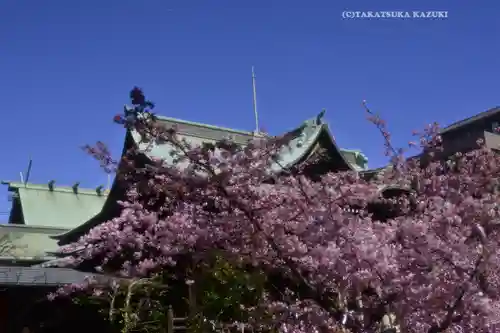 桜神宮(東京都)