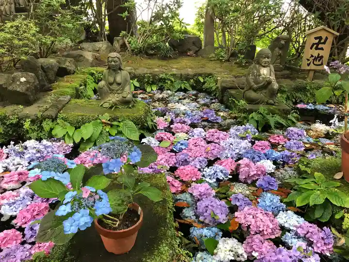 長谷寺の庭園