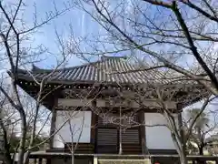 教信寺(兵庫県)