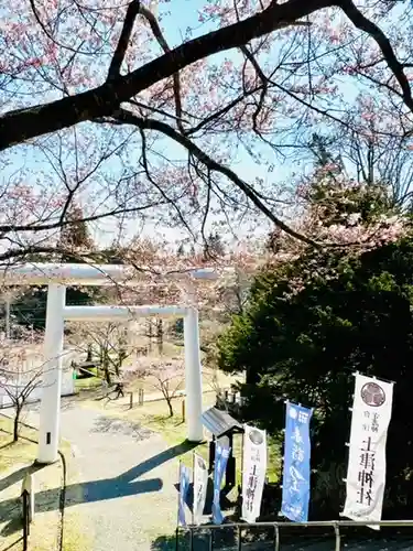 土津神社｜こどもと出世の神さまの鳥居