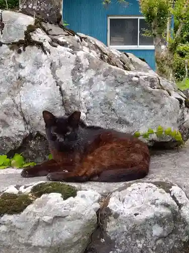 円通寺(埼玉県)