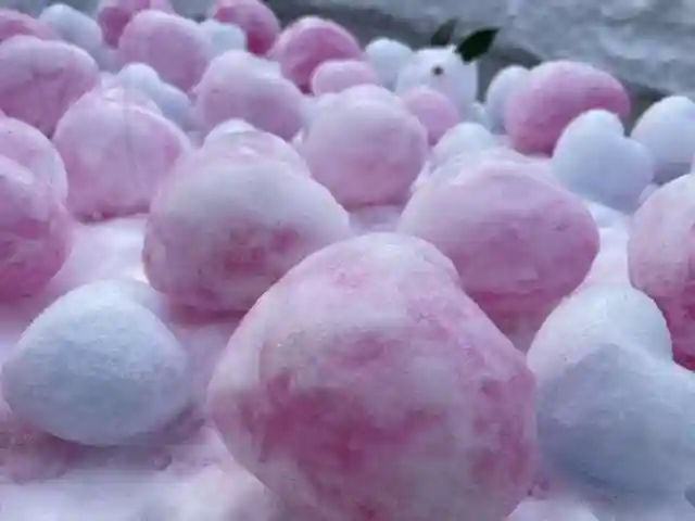 彌彦神社 (伊夜日子神社)の芸術