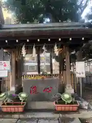 高円寺氷川神社(東京都)