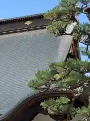 恵林寺の建物その他