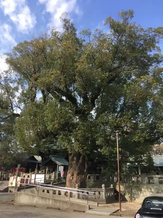 下庄八幡神社の自然