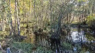 鶏足寺(滋賀県)