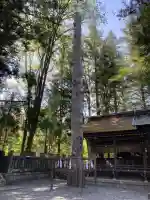 諏訪大社下社春宮(長野県)