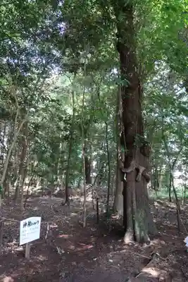 積田神社(三重県)