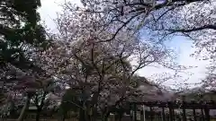 玉敷神社の庭園