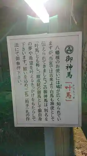 水戸八幡宮の歴史