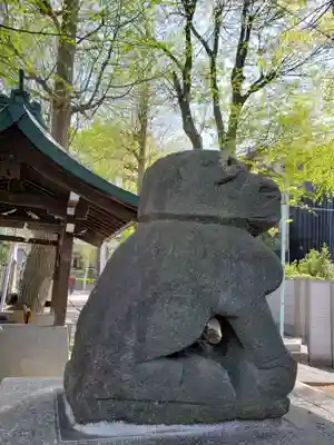 穏田神社の狛犬