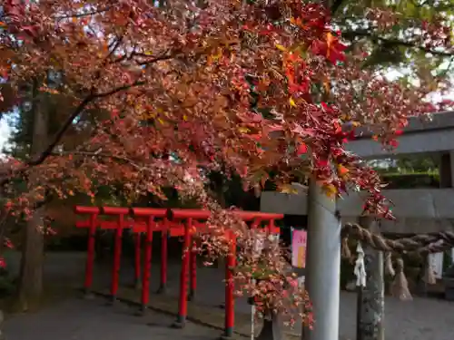 高城神社(長崎県)