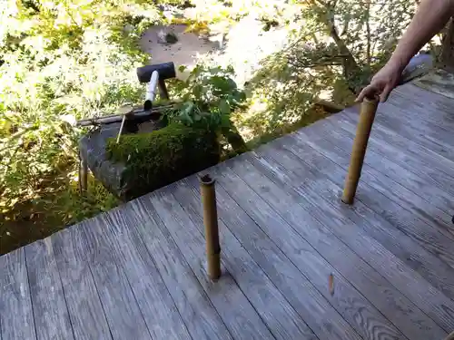 宝泉院(京都府)