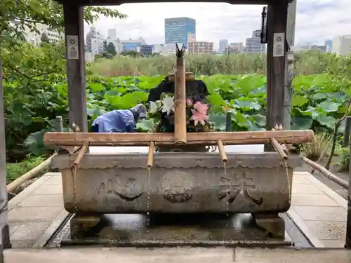 寛永寺不忍池弁天堂(東京都)