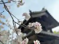 伊勢の国 四天王寺(三重県)