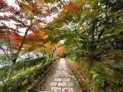 化野念仏寺の景色