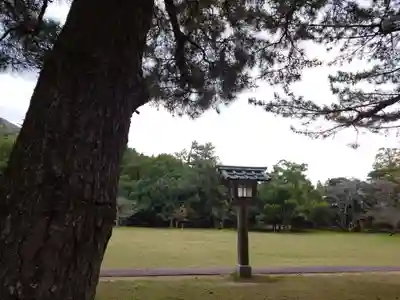 出雲大社(島根県)