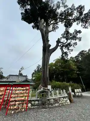 矢奈比賣神社（見付天神）(静岡県)