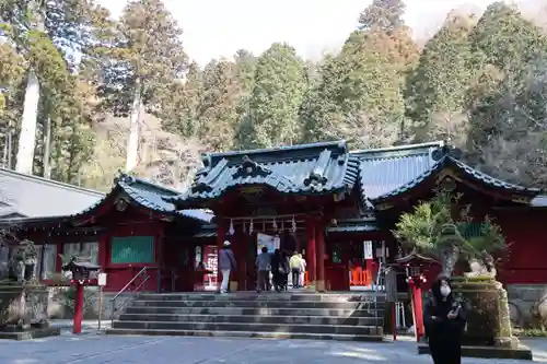 箱根神社の本殿・本堂