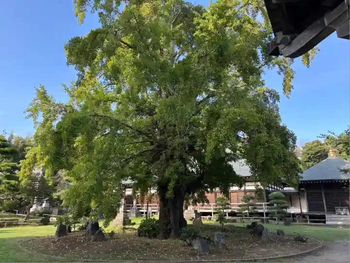 西光院(茨城県)