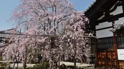 妙蓮寺のその他建物