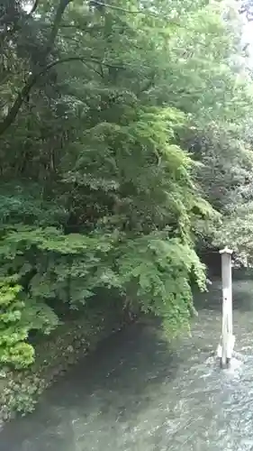 伊勢神宮内宮（皇大神宮）の自然