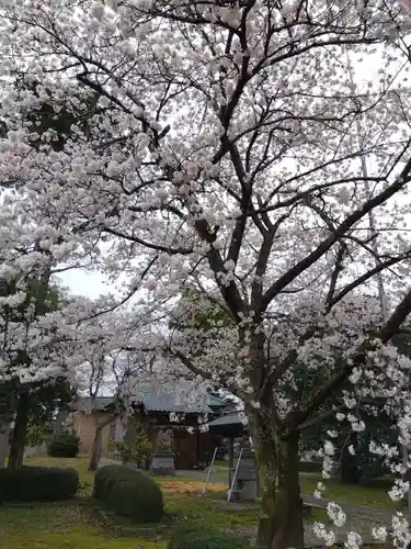 白山神社(福井県)