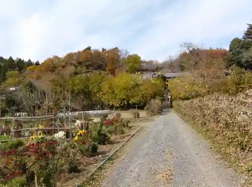 洞昌院(埼玉県)
