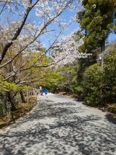龍安寺(京都府)