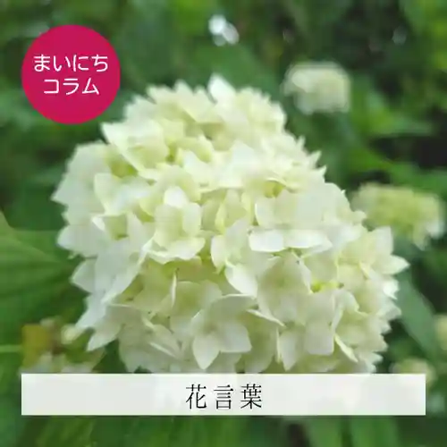 壽徳寺 じゅとくじ(福島県)