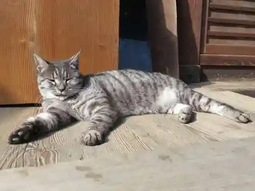 梅宮大社(京都府)