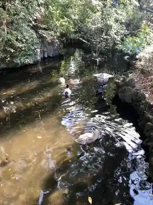 世田谷八幡宮(東京都)