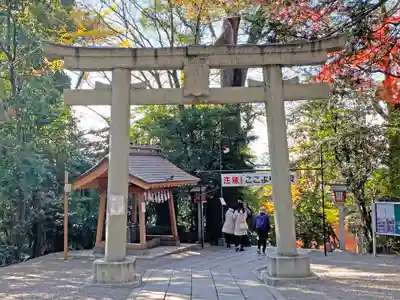 谷保天満宮の鳥居