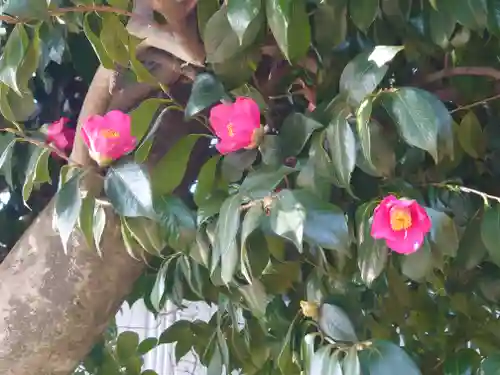 榎稲荷神社・蚕影神社(神奈川県)