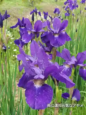 高司神社〜むすびの神の鎮まる社〜(福島県)