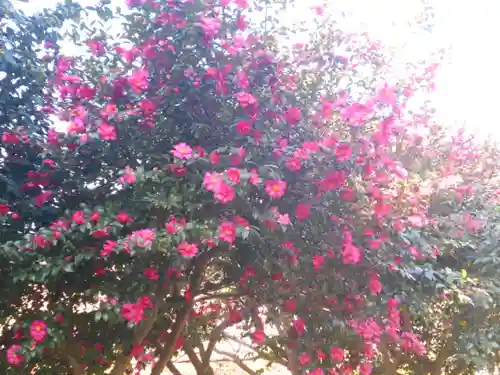 葛原岡神社の自然