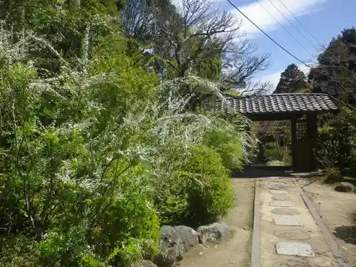 海蔵寺の庭園