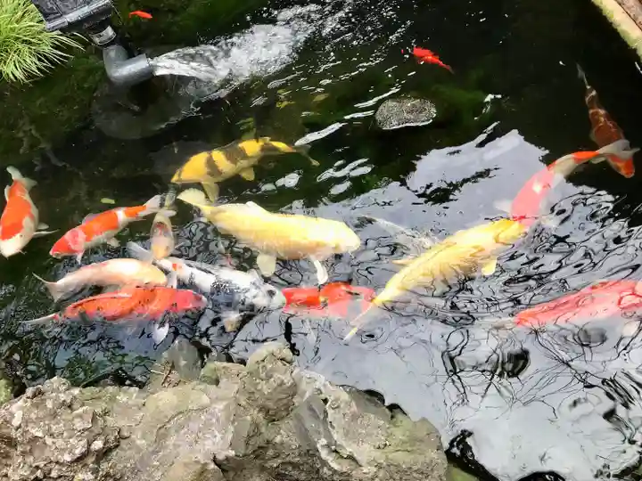 吉原弁財天本宮(吉原神社奥宮)(東京都)