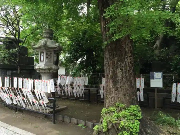 素盞雄神社(東京都)