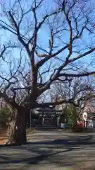 相馬神社(北海道)