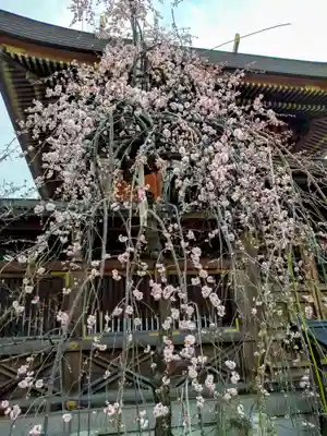 湯島天満宮(東京都)
