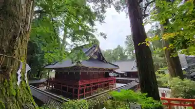 日光二荒山神社の本殿・本堂